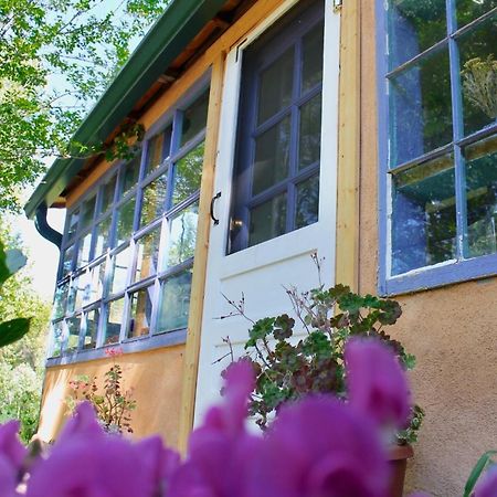 Taos Goji Farm & Eco-Lodge Retreat Arroyo Seco Exterior photo